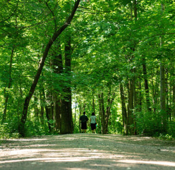 Activités de plein air au Domaine